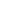 small white circle